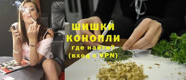 дмт Арсеньев