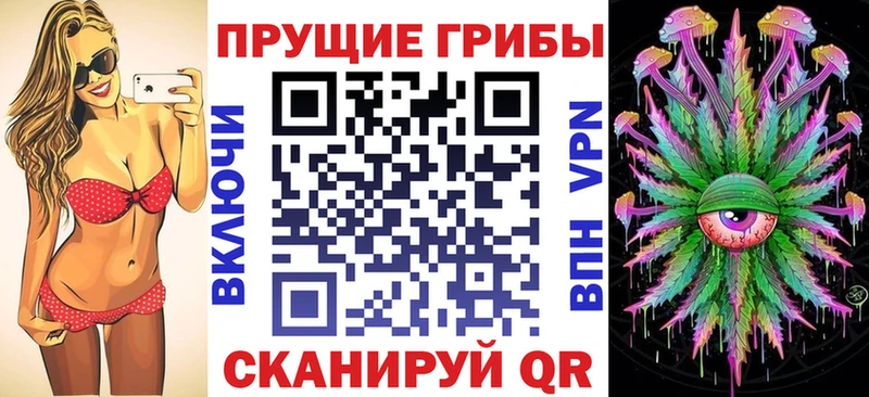 OMG ONION  Сокол  Галлюциногенные грибы Psilocybe 
